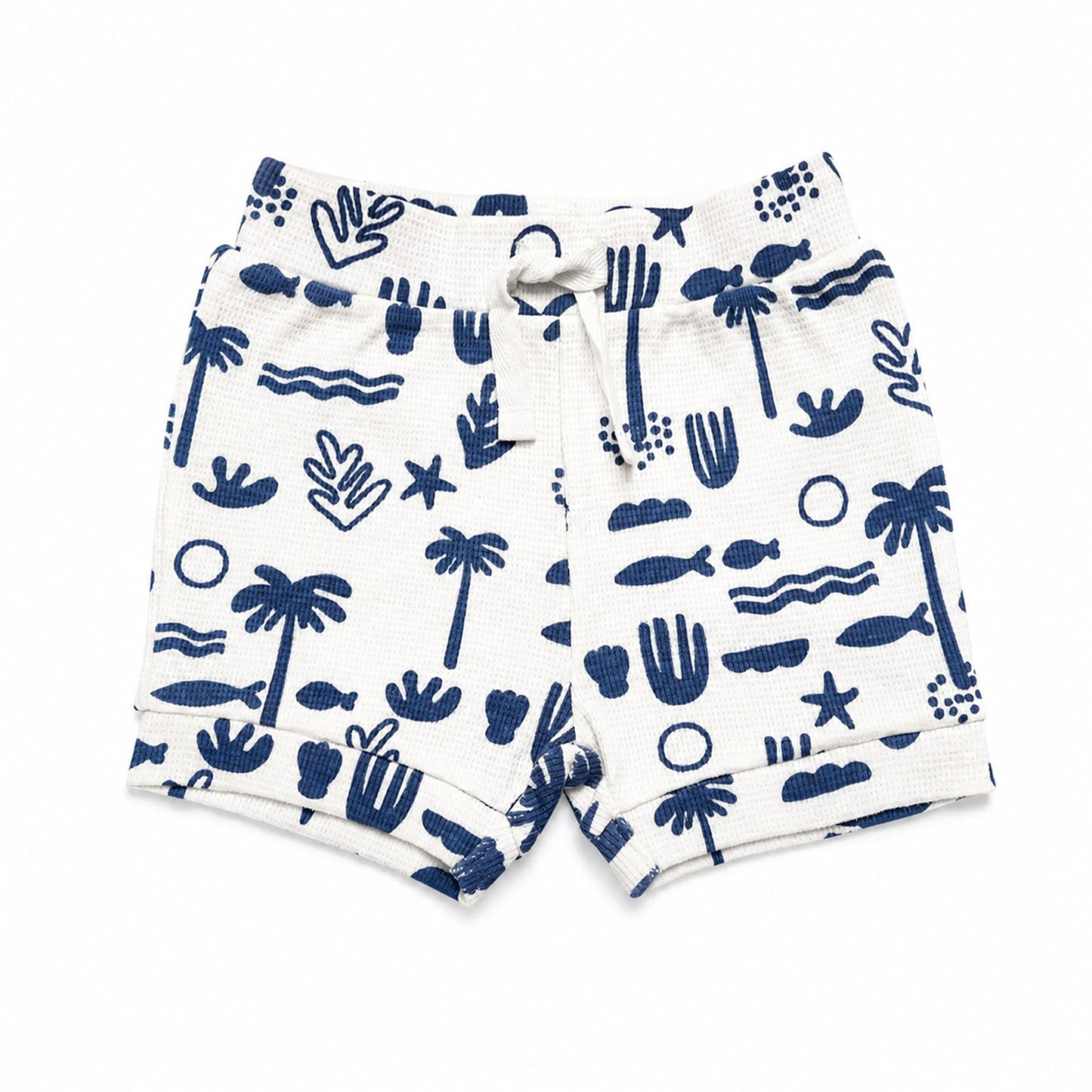 Ocean Safari