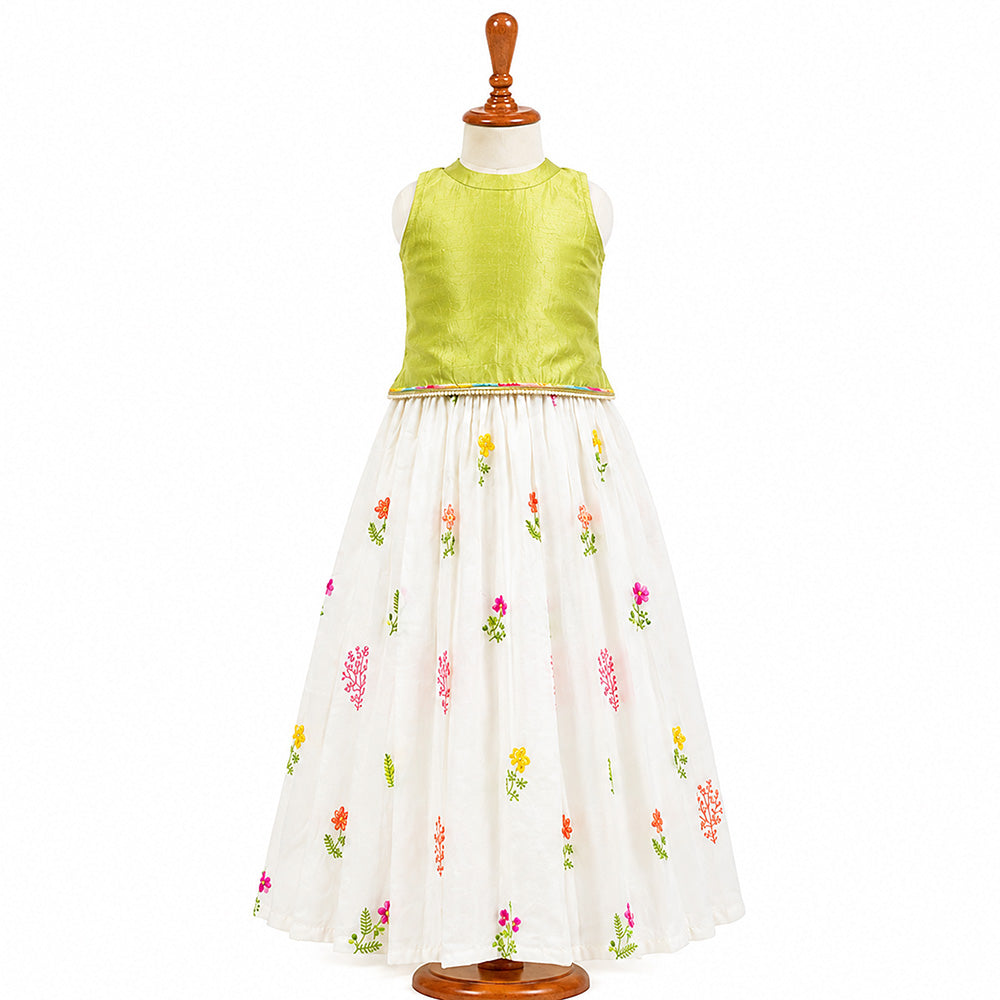 Spring Daisy