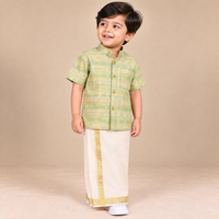 Pista Green Golden Zari Dot