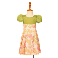 Green Muslin Dress